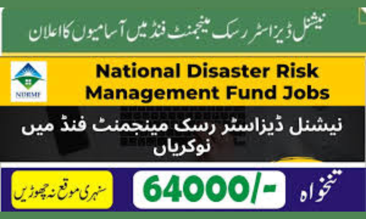 NDRMF job advertisement 2025